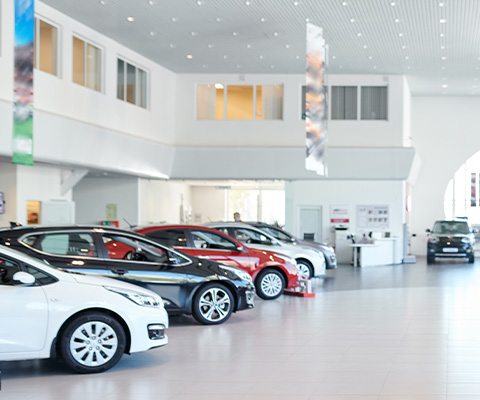car dealership showcasing various models with bright interior lighting and modern design featuring vehicles for sale